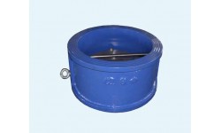 594型 美标止回阀