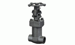 锻钢波纹管截止阀