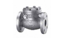 铸铁法兰旋启式止回阀