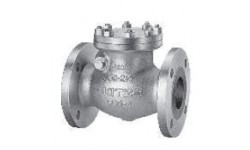 球墨铸铁法兰旋启式止回阀